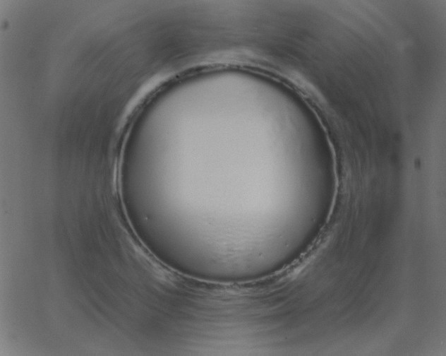 X0000067931224200604272000