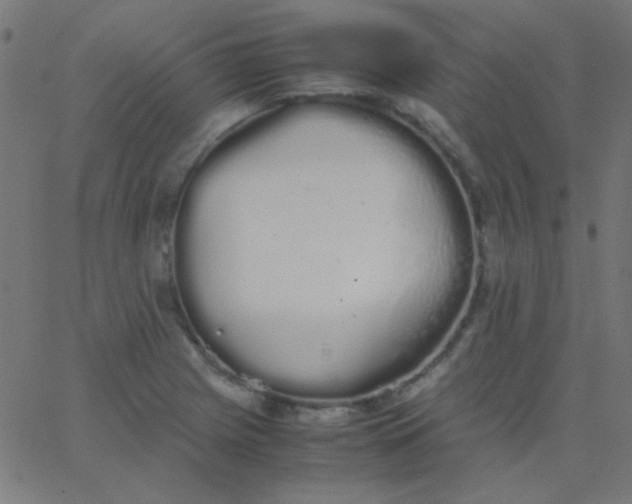 X0000067931225200604272000