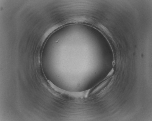 X0000067931226200604272000