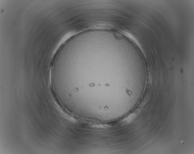 X0000067931227200604272000