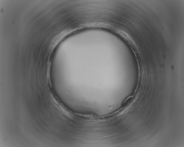 X0000067931228200604272000