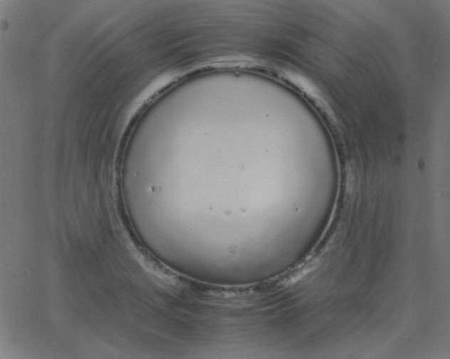 X0000067931229200604272000