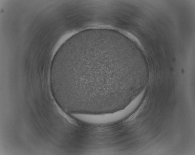 X0000067931231200604272000