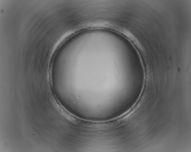 X0000067931232200604272000