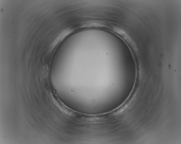 X0000067931233200604272000