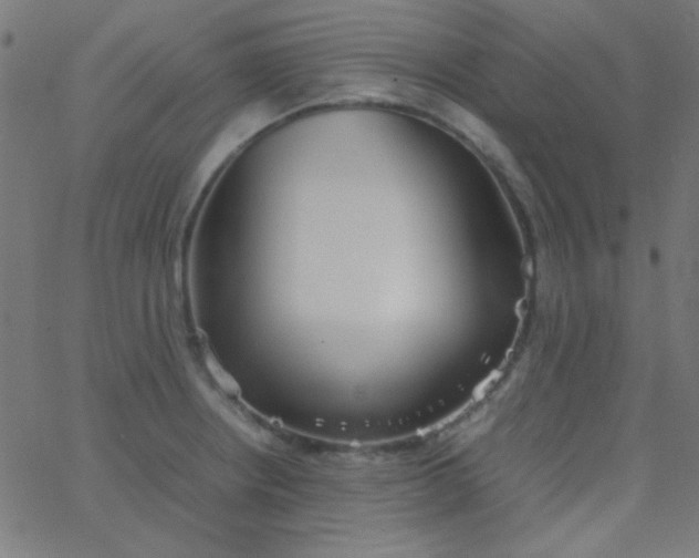 X0000067931234200604272000