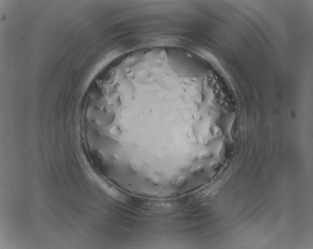 X0000067931235200604272000