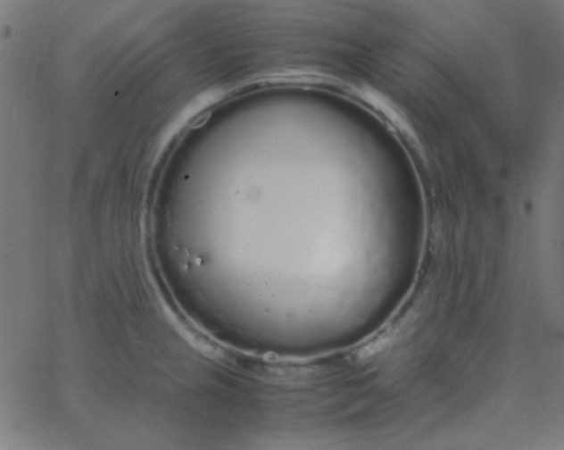 X0000067931237200604272000