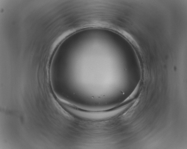 X0000067931238200604272000