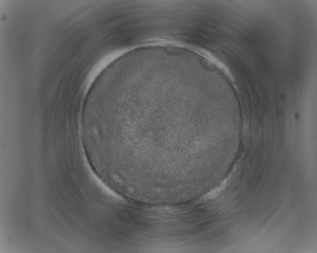 X0000067931239200604272000