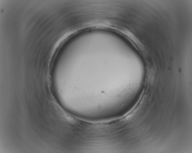 X0000067931240200604272000