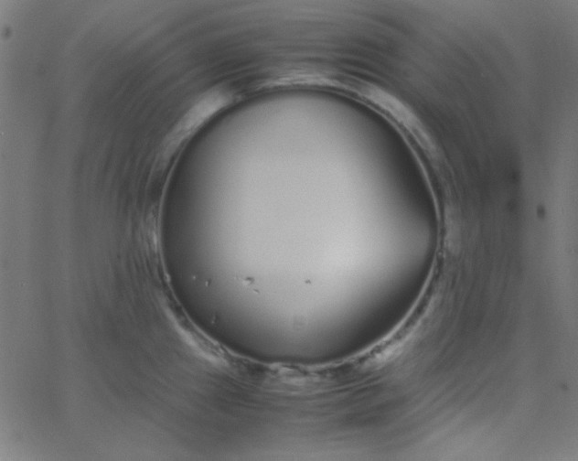 X0000067931241200604272000