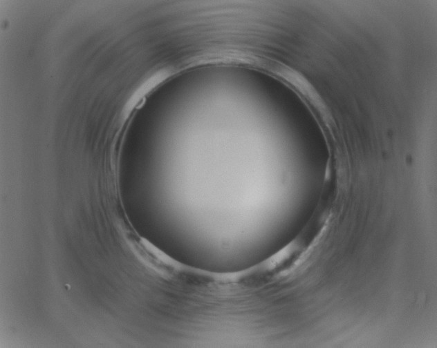 X0000067931242200604272001