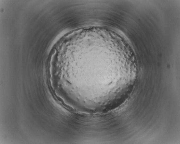 X0000067931243200604272001