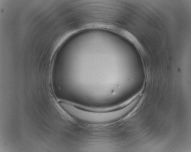 X0000067931244200604272001