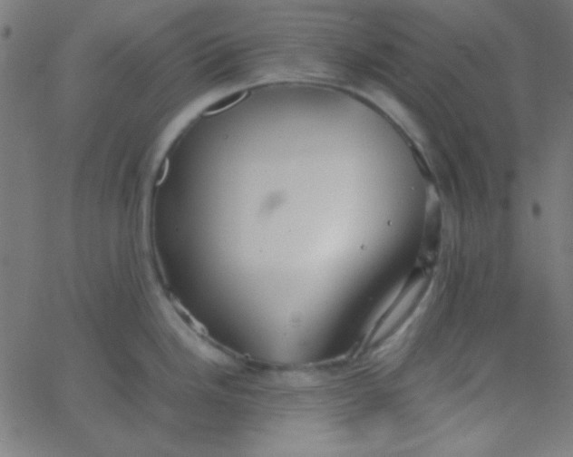 X0000067931246200604272001