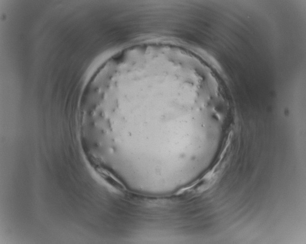 X0000067931247200604272001