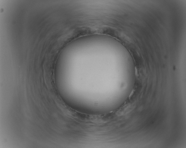 X0000067931249200604272000