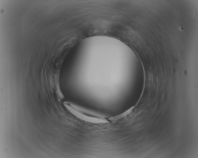 X0000067931250200604272000