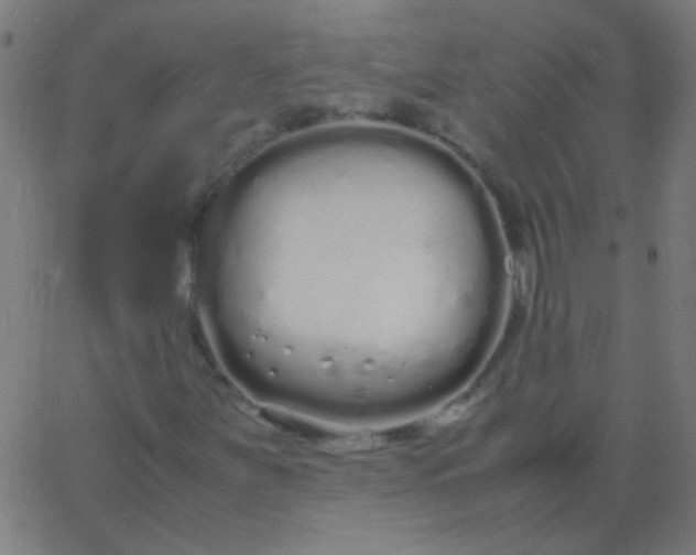 X0000067931251200604272000