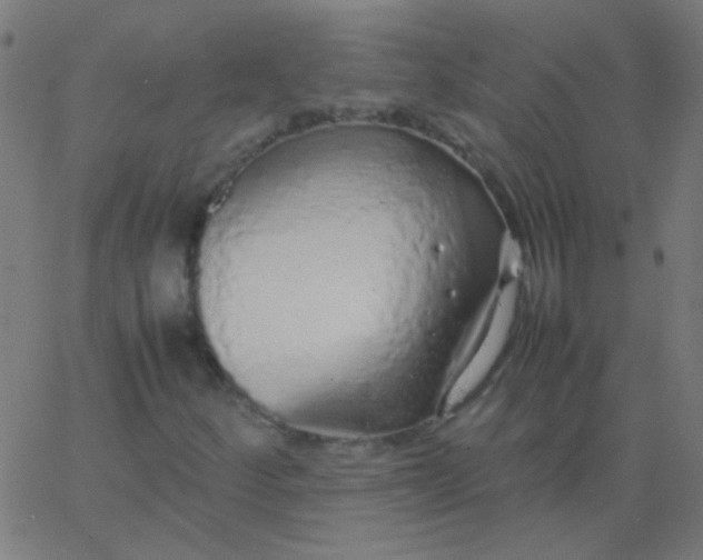 X0000067931252200604272000