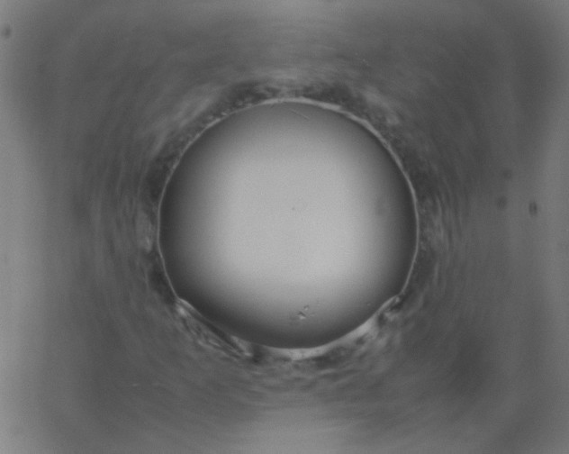 X0000067931253200604272000