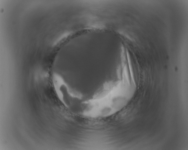 X0000067931254200604272000