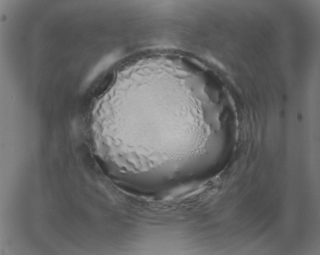 X0000067931255200604272000