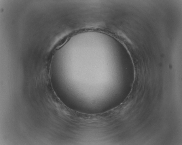 X0000067931256200604272000