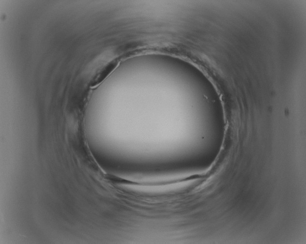 X0000067931257200604272000