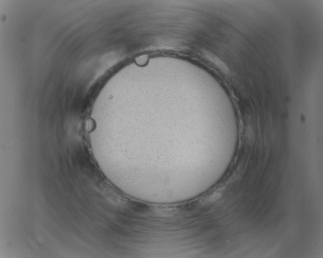 X0000067931258200604272000