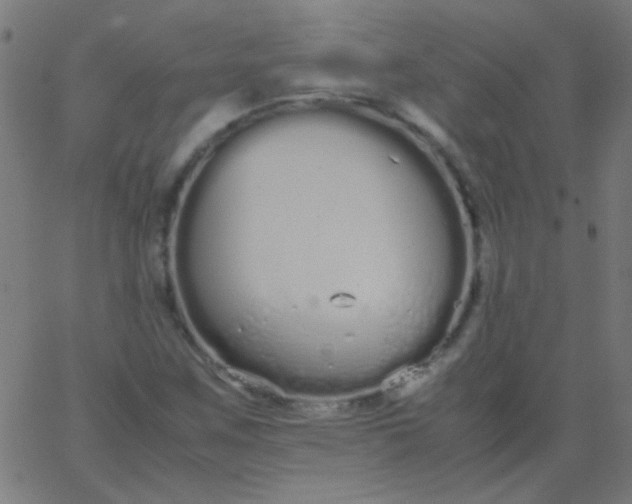 X0000067931259200604272000