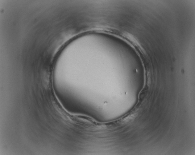 X0000067931260200604272000