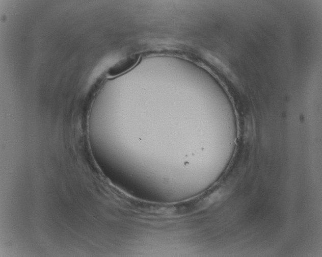 X0000067931261200604272000