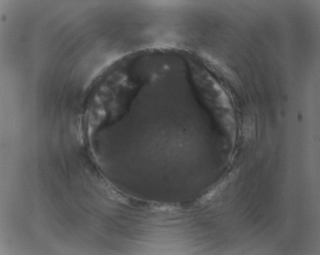 X0000067931262200604272000