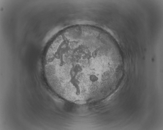 X0000067931263200604272000