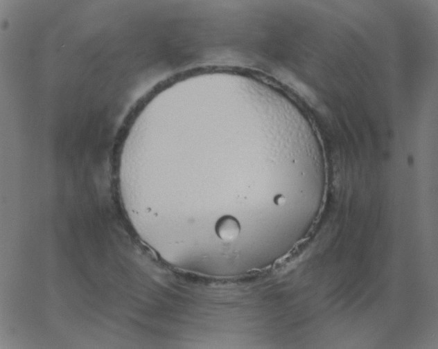 X0000067931264200604272000