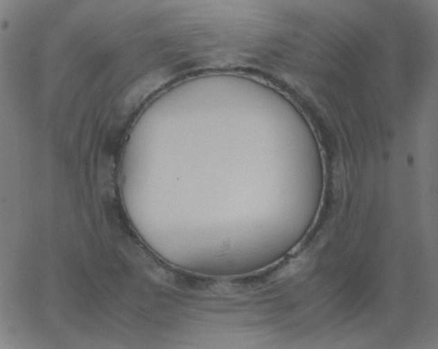 X0000067931265200604272000