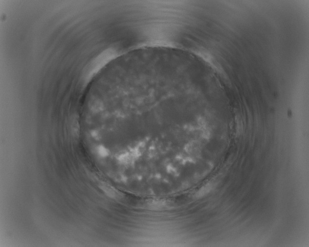 X0000067931266200604272000