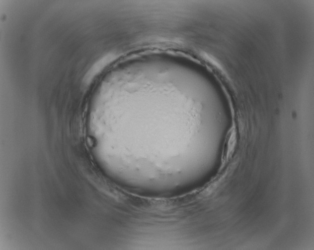 X0000067931267200604272000