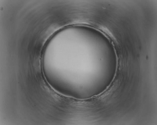 X0000067931268200604272000