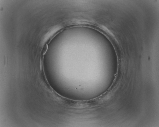 X0000067931269200604272000