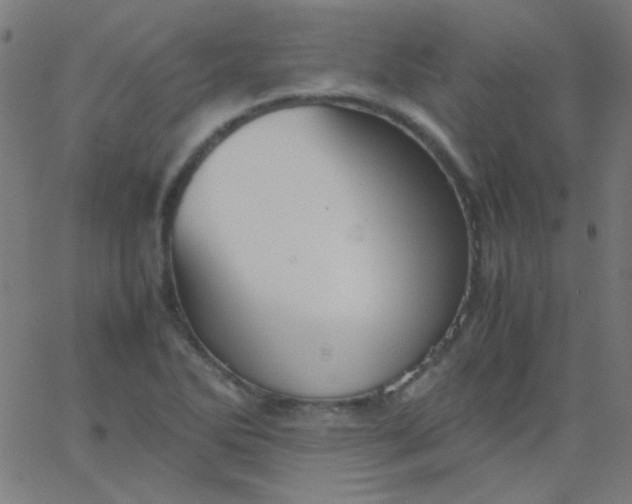 X0000067931270200604271959