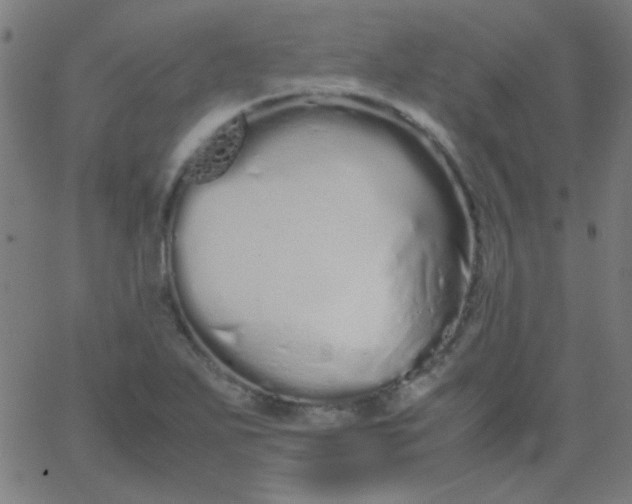 X0000067931271200604271959