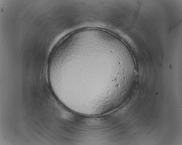 X0000067931272200604271959