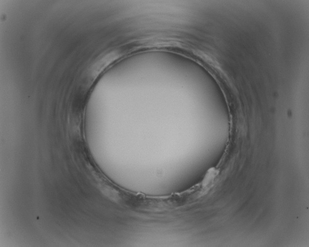 X0000067931273200604271959