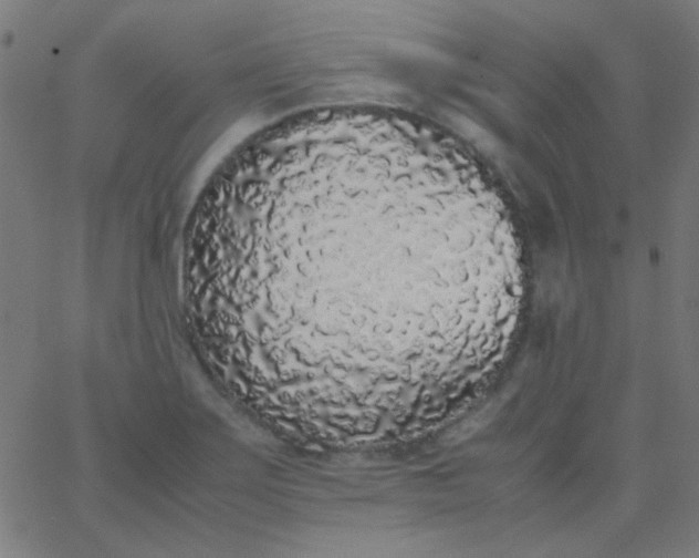 X0000067931275200604271959