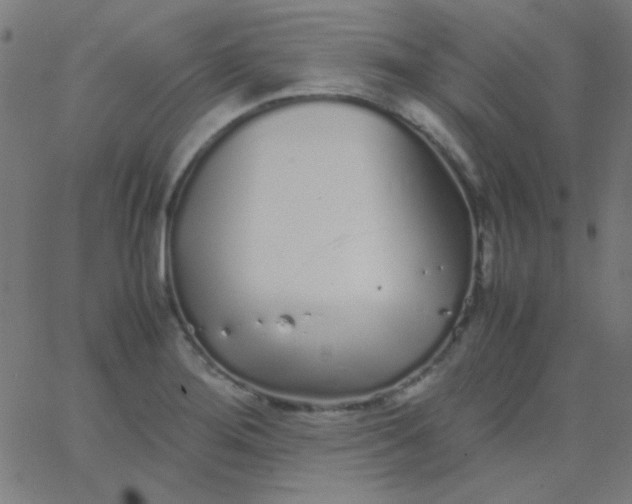 X0000067931276200604271959