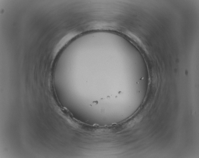 X0000067931277200604271959