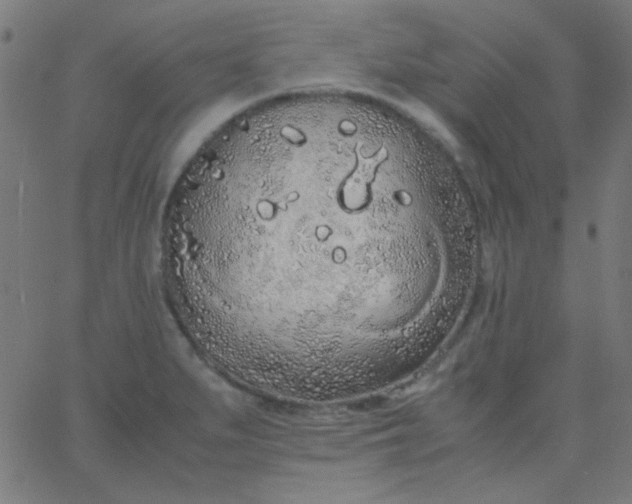 X0000067931279200604271959